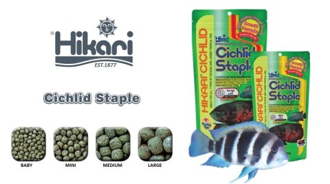 Hikari Cichlid Staple Mini 57g