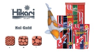 Hikari Koi Gold L 500g