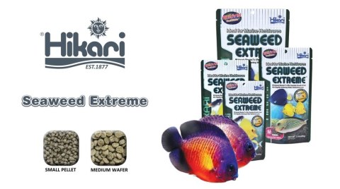 Hikari Marine Seaweed Extreme Medium Wafer 90g