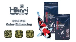 Hikari Saki-Hikari Color Enhancing S 2kg