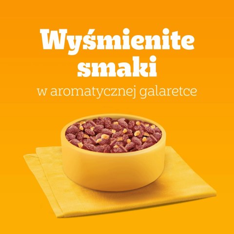 Pedigree Mokra Karma Dla Dorosłych Psów W Galaretce Mix Smaków (Z Wołowiną, Z Kurczakiem, Z Jagnięciną, Z Drobiem) 40x100g