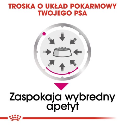 ROYAL CANIN CCN Exigent Pasztet 12x85g