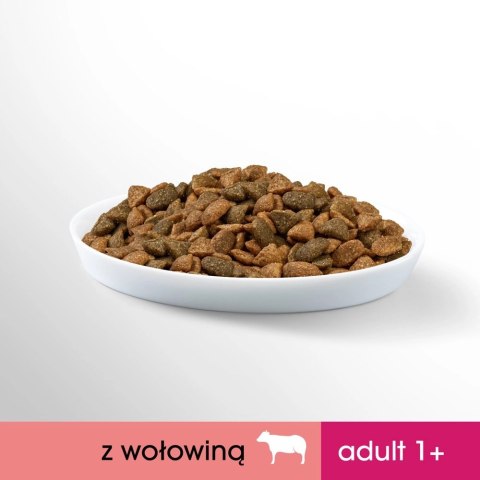 PERFECT FIT Adult 1+ Z Wołowiną 750g