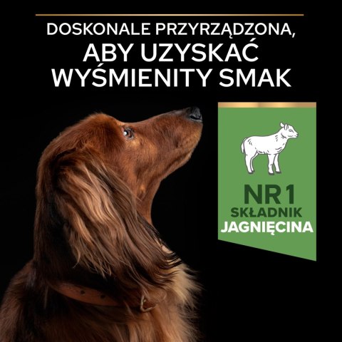 Purina Pro Plan Small & Mini Adult OptiDigest Jagnięcina 7kg