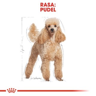 ROYAL CANIN Poodle 12x85g
