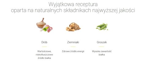 Josera Kitten Grainfree 10kg