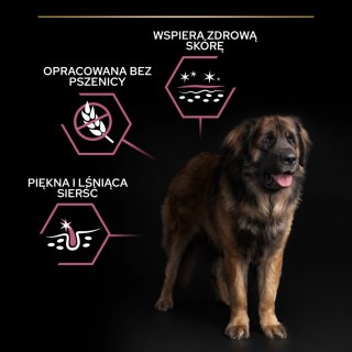 Purina Pro Plan Large Adult Robust Optiderma Łosoś Z Ryżem 14kg