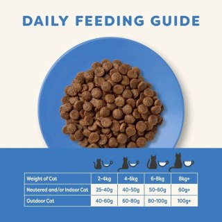 APPLAWS Complete Dry Adult Ocean Fish With Salmon 6kg