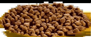 Hill's SP Science Plan Feline Kitten Kurczak 3kg