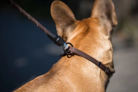 KERBL Smycz Sznurkowa S GoLeyGo 2m Z Adapterem Do 15kg Czarna