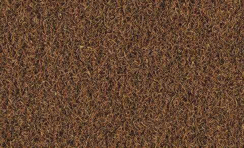 Tetra Delica Bloodworms 100ml