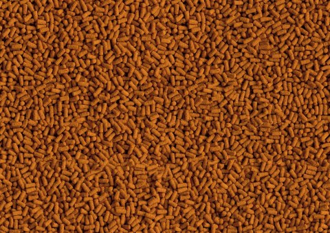 Tetra Pond Koi ColourandGrowth Sticks 1l