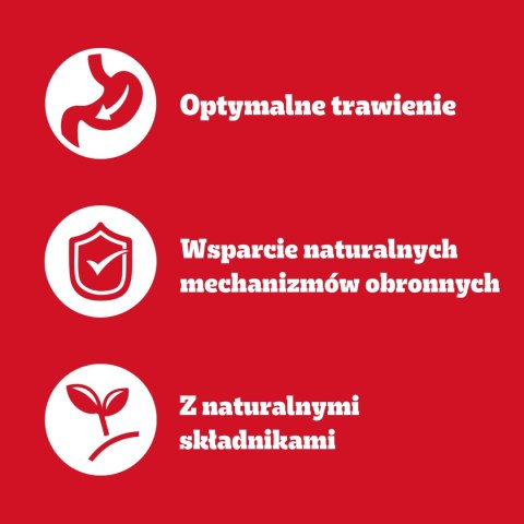 Pedigree Mokra Karma Dla Dorosłych Psów Saszetka Mix Smaków (Z Kurczakiem I Warzywami, Z Wołowiną I Warzywami, Z Indykiem I Marc