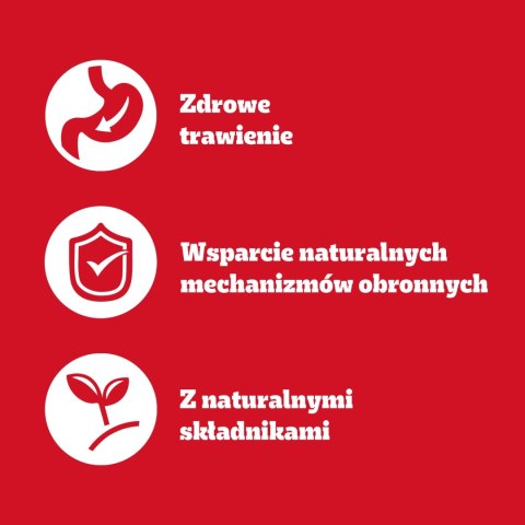 Pedigree Mokra Karma Dla Dorosłych Psów Z Wołowiną W Galaretce 1200g