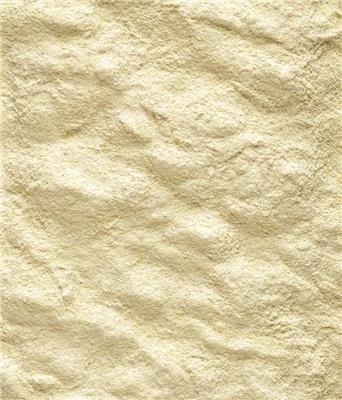 Versele-Laga NutriBird A19 Pokarm Do Ręcznego Karmienia Piskląt 800g