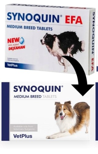 VetPlus Synoquin Efa Medium Breed 30tab