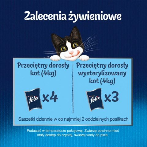 Felix Sensations Jellies Wiejskie Smaki W Galaretce 24x85g