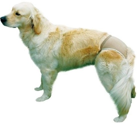 Trixie Majtki Ochronne Dla Suczki Czarne XS