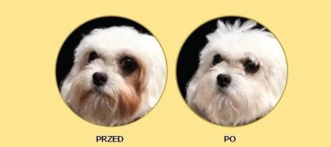 Nature's Protection Superior Care White Dogs Adult Small Breed With Lamb 400g