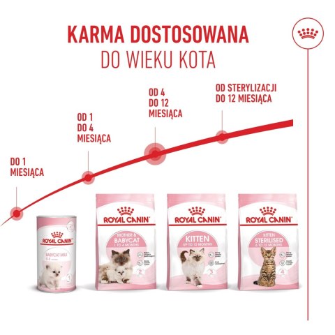 ROYAL CANIN Kitten 10kg
