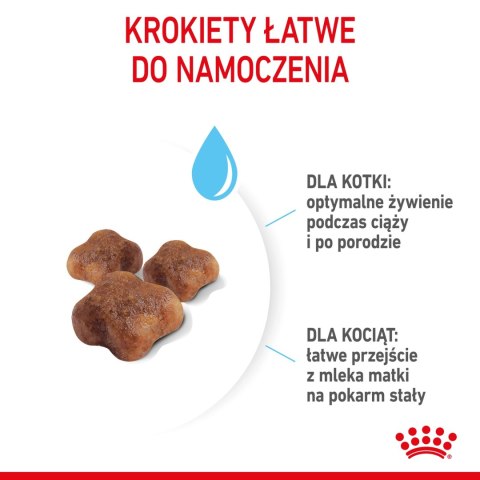 ROYAL CANIN Mother & Baby Cat 400g