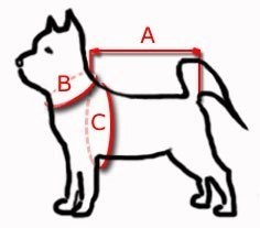Julius-K9 Szelki 71-96cm/50mm Czerwone Rozmiar 2