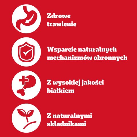 Pedigree Mokra Karma Dla Dorosłych Psów Z Wołowiną W Galarecie Puszka 400g