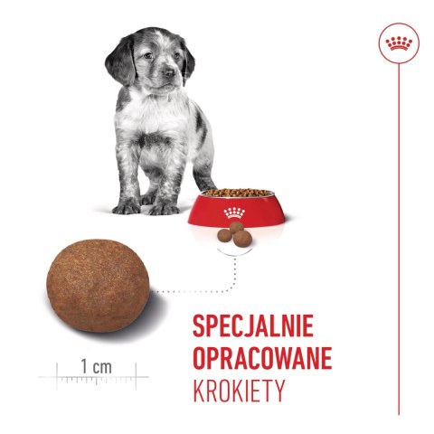 ROYAL CANIN Medium Puppy 15kg