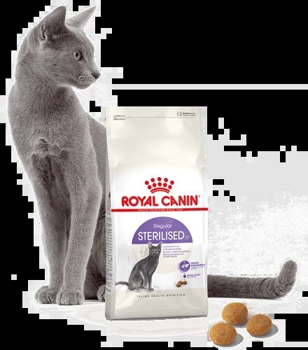 ROYAL CANIN Sterilised 37 2kg