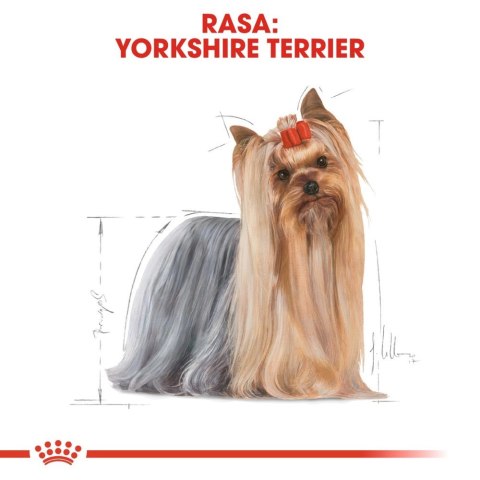 ROYAL CANIN Yorkshire Terrier Adult 1,5kg