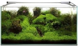 AQUAEL Leddy Slim 10W Sunny D&N