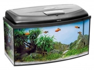 AQUAEL Zestaw Akwarystyczny Classic Box 60/O D&N