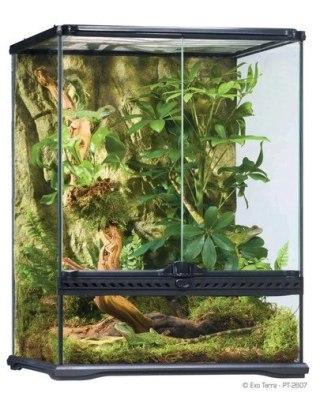 Exoterra Terrarium Szklane Small 45x45x60cm