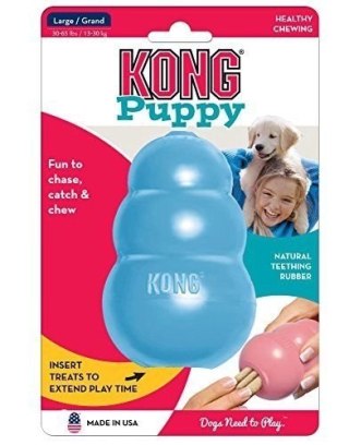 KONG Company Puppy L