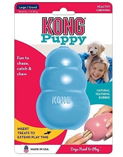 KONG Company Puppy L