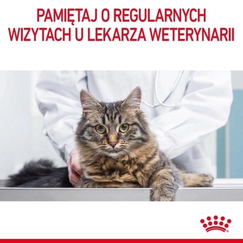 ROYAL CANIN Digestive Care 10kg