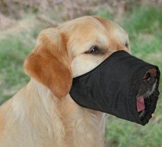 Trixie Kaganiec L-XL