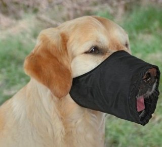 Trixie Kaganiec XS-S