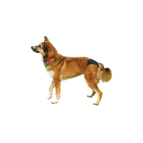 Trixie Majtki Ochronne Dla Suczki Rozmiar L