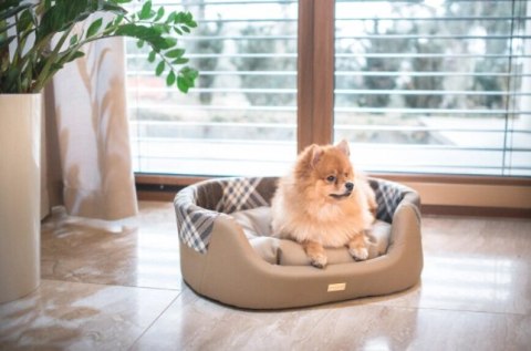 AMIPLAY Legowisko Elipsa 2w1 Kent Beżowe S