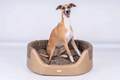 AMIPLAY Legowisko Elipsa Venus Złote M