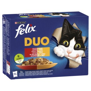 Felix Duo Wiejskie Smaki W Galaretce Z Mięsem 12x85g