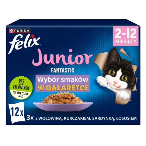 Felix Fantastic Junior W Galaretce 12x85g