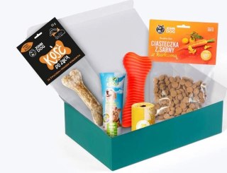 Prezent pod choinkę dla psiaka