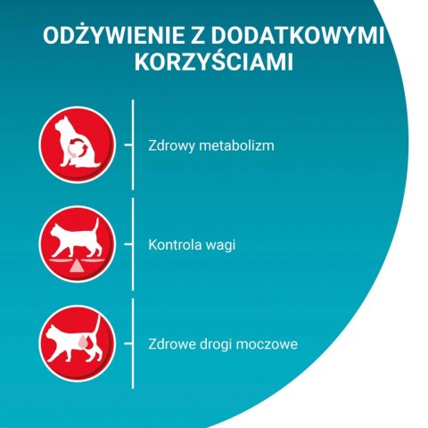 Purina One Cat Sterilcat Karma Z Wołowiną Dla Kota 800g