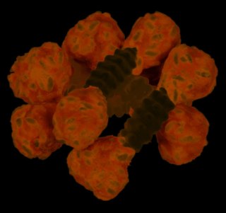 Trixie Denta Fun Przysmak Hantel 100g 6szt