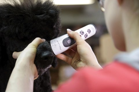 Aesculap Maszynka Do Strzyżenia Akkurata Akumulatorowa Biała