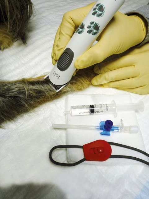 Aesculap Maszynka Do Strzyżenia Isis Akumulatorowa Biała