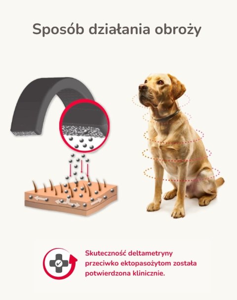 BEAPHAR Canishield 48cm - Obroża Z Deltametryną