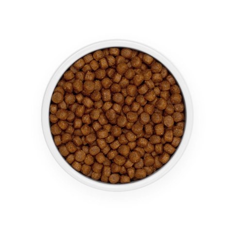 Eminent Adult 26/15 15kg